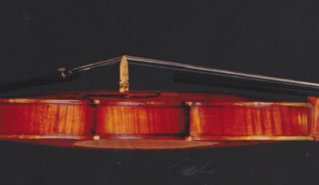 Stolen Violin Georgetown Washington Sgarabotto Cover
