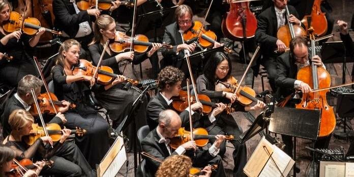 AUDITION | Antwerp Symphony – ‘Principal Double Bass’ Position [APPLY] - image attachment