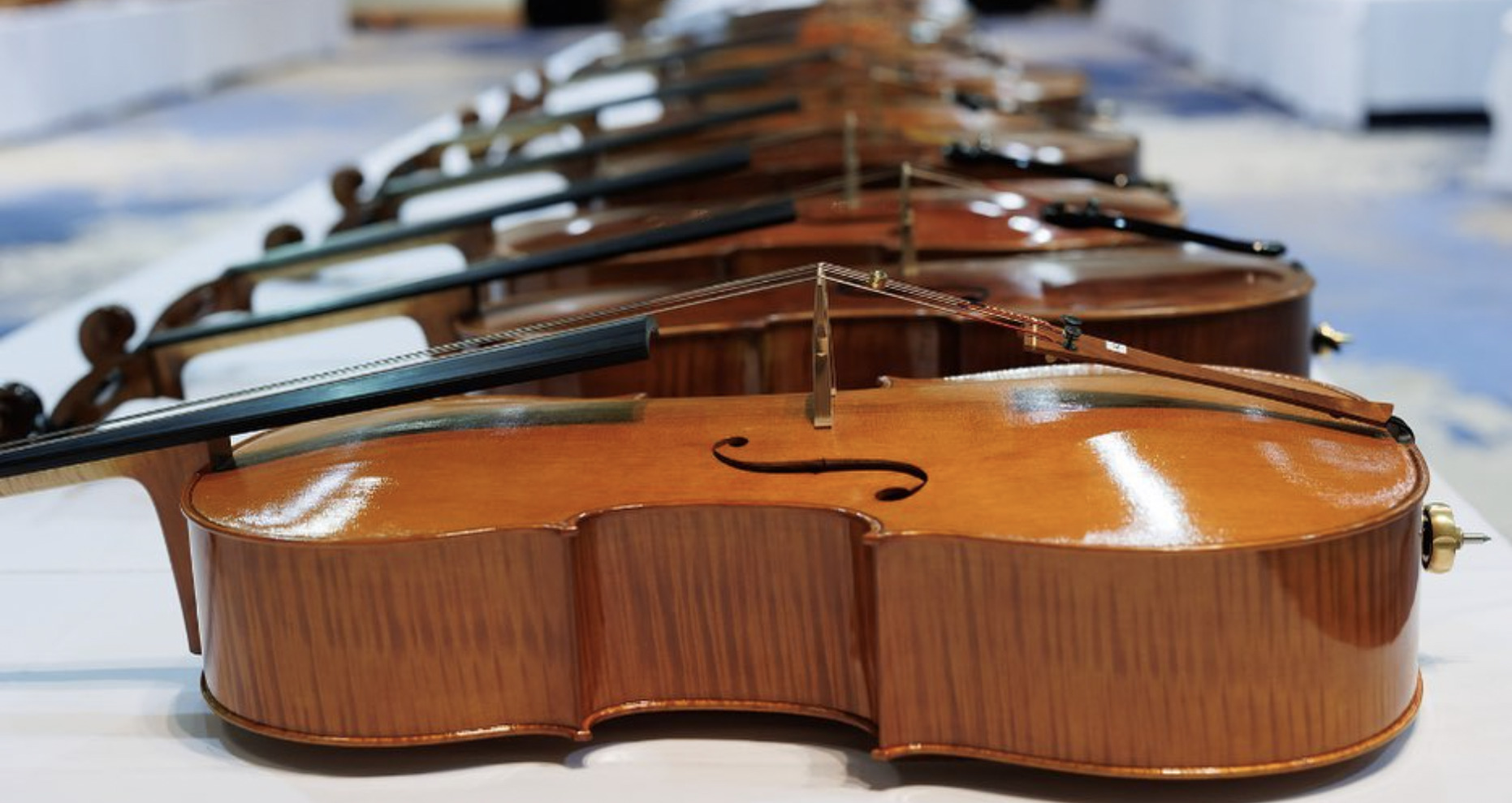 Violin Society of America